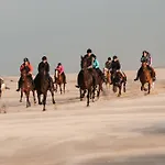Strandhotel De Vassy Ξενοδοχείο Egmond aan Zee