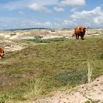 Otel Strandhotel De Vassy Egmond aan Zee