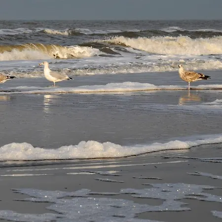 Strandhotel De Vassy Egmond aan Zee