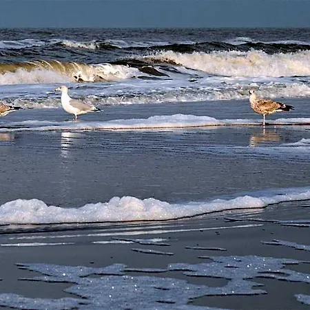 Strandhotel De Vassy 3* Egmond aan Zee