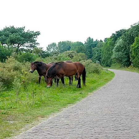 Strandhotel De Vassy