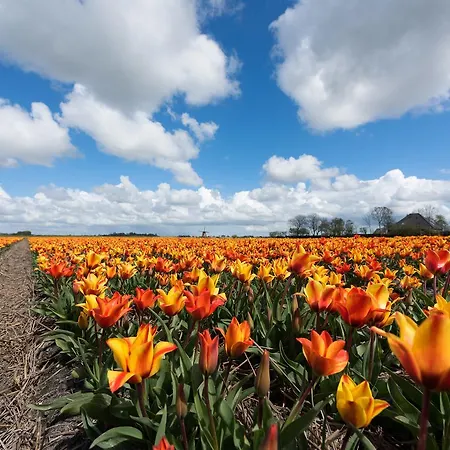 Strandhotel De Vassy Egmond aan Zee