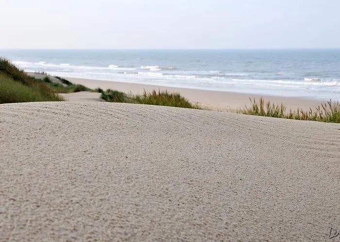 Hotel Strandhotel De Vassy