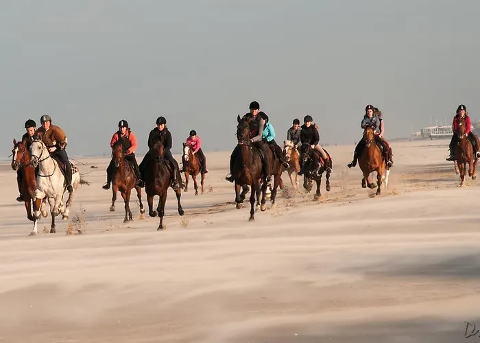 Strandhotel De Vassy Hotel Egmond aan Zee