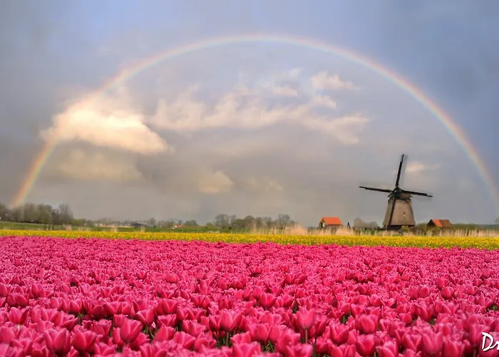 Strandhotel De Vassy