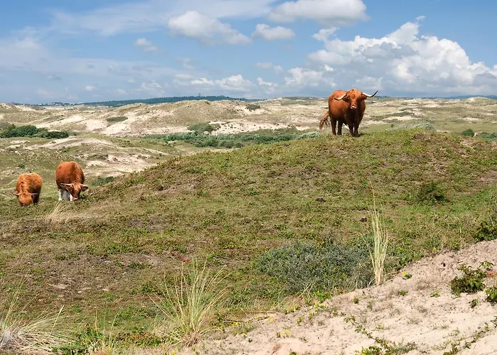 Hotell Strandhotel De Vassy Egmond aan Zee
