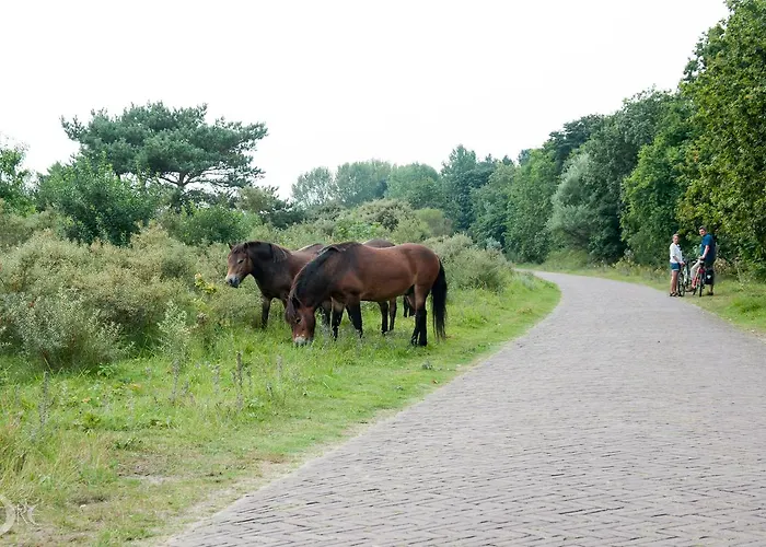 Hotel Strandhotel De Vassy