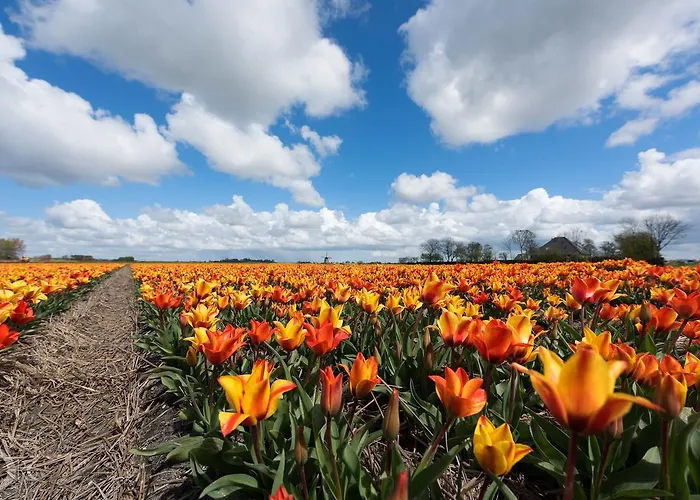 Strandhotel De Vassy Egmond aan Zee