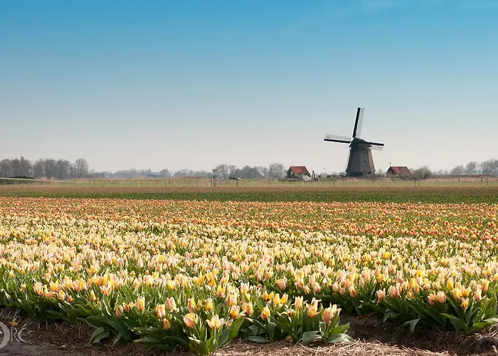 Strandhotel De Vassy Hotell Egmond aan Zee