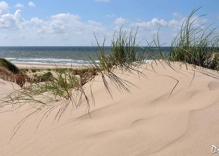 Strandhotel De Vassy Hotel