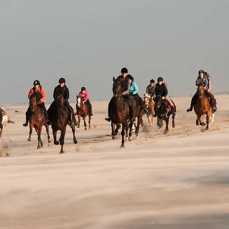 Strandhotel De Vassy Szálloda Egmond aan Zee