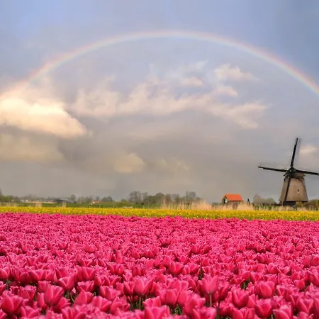 Strandhotel De Vassy