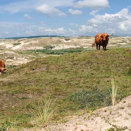 מלון Strandhotel De Vassy אגמונד אן זי