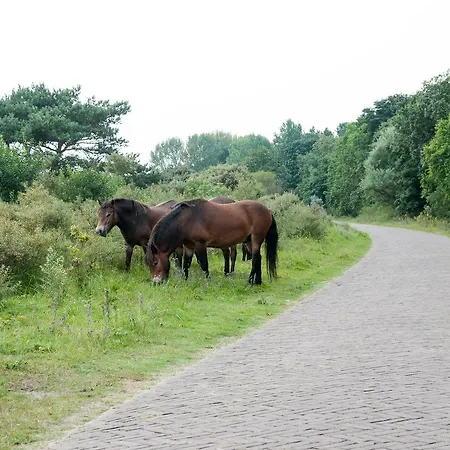 מלון Strandhotel De Vassy